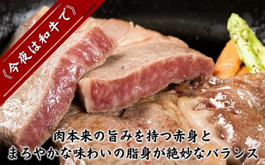 松浦食肉組合厳選Ａ４ランク以上長崎和牛ロースステーキ200ｇ×3枚（ステーキソース付）【D0-003】 脂肪 赤身 バランス 長崎和牛 旨み ステーキ やわらかい お勧め