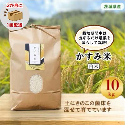 ふるさと納税 潮来市 【2ヵ月毎定期便】栽培期間中出来るだけ農薬を減らし作る かすみ米白米10kg全6回