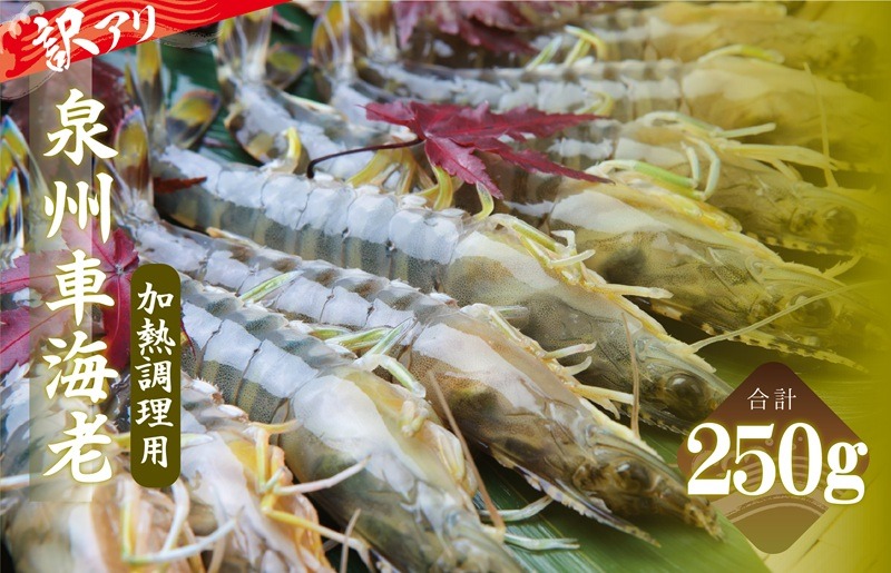 G3703-1 訳アリ！お試し 加熱調理用 泉州車海老250g【TVで紹介されました！ 圧倒的企業努力】