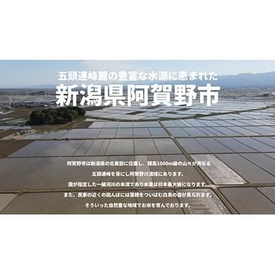 ふるさと納税 阿賀野市 【令和7年産】【5回定期便】コシヒカリ5kg×5回　米杜氏 阿賀野市産 |  | 03
