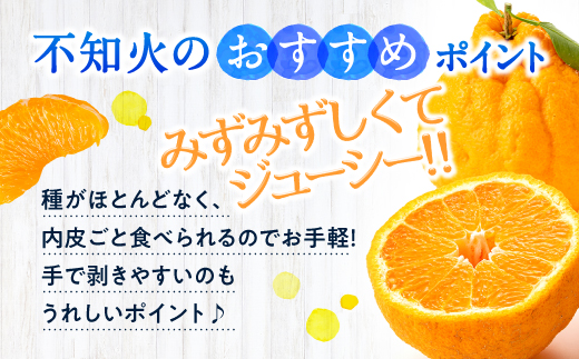 AA132.農家直送の不知火／約3kg（2027年2月発送予定)