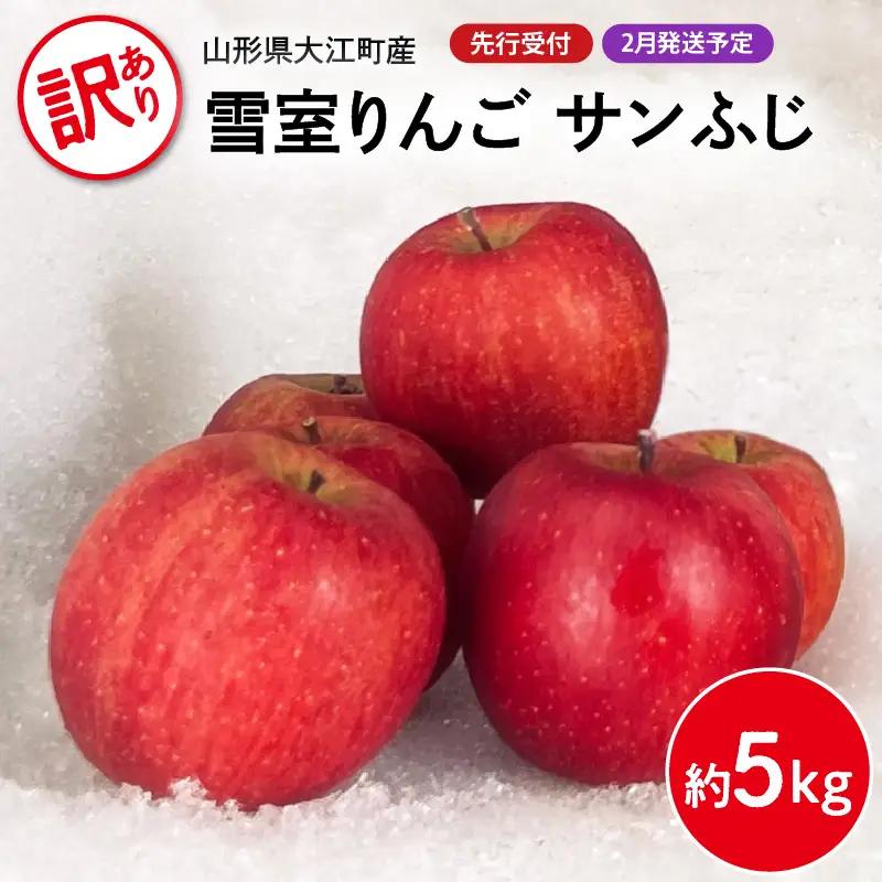 《先行受付》【2027年2月発送予定】 訳あり 雪室りんごサンふじ 約5kg【大江町産・山形りんご・大地農産】 028-029
