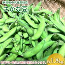 【ふるさと納税】＜先行予約＞小千谷産枝豆（品種:さかな豆）約1.8kg （9月下旬～10月上旬頃に発送予定）冷蔵 枝豆 野菜 つまみ おつまみ ビール ビールに合う えだまめ エダマメ 新潟 10P291