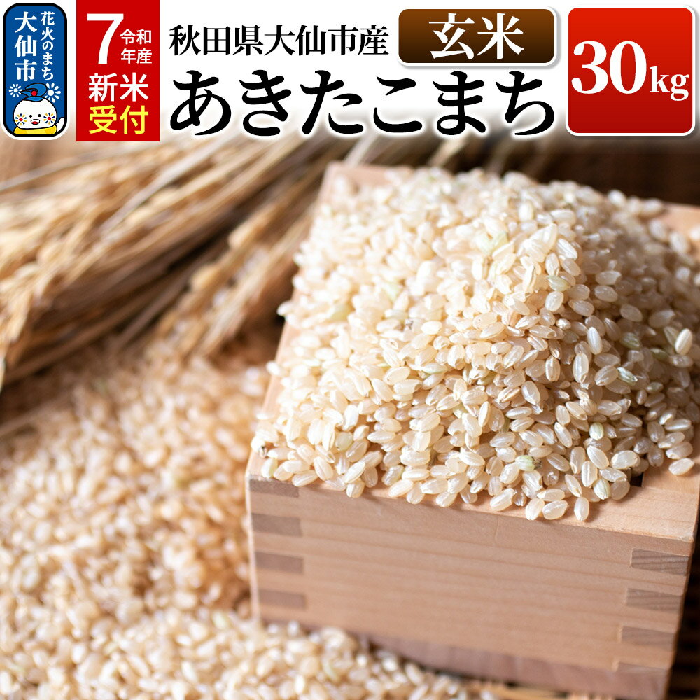 【ふるさと納税】《令和7年産 新米受付》米 令和7年 秋田県大仙市産 あきたこまち【玄米】30kg