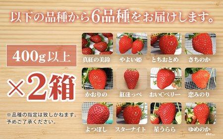 【2月より順次発送！】自宅でいちご狩り気分! 完熟いちご6品種食べ比べセット 800g以上 ／いちご イチゴ 苺 果物 くだもの フルーツ 旬のくだもの 季節のフルーツ 食べ比べ 詰め合わせ セット 