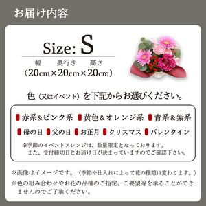 季節のフラワーアレンジメント（S/赤・ピンク系） | 花 お花 生花 フラワー フラワーアレンジメント 花束 お祝い 赤 ピンク 赤系 配送地域限定 京都府 綾部市