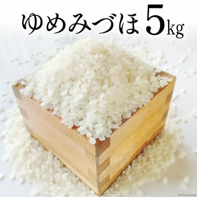 ふるさと納税 宝達志水町 米 令和7年 ゆめみづほ 白米 5kg [みどりの波 石川県 宝達志水町 38601254]