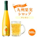 【ふるさと納税】九州を飲む！ 九州果実シロップ タンカン 500ml 1本 たんかん みかん 柑橘 果実 シロップ 果汁 はちみつ ハチミツ 国産 九州 熊本県 送料無料