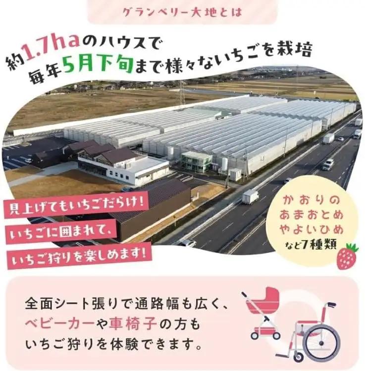 【訳あり】冷凍いちご　3kg (1kg×3袋)