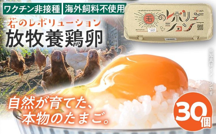 
                  卵 放牧養鶏卵 30個 「破損補償2個含」 若のレボリューション たまご 鶏卵 生卵 卵かけご飯 TKG 国産 ワクチン非接種 海外飼料不使用 発酵飼料 新鮮 お取り寄せ グルメ 贅沢 福岡 ※北海道・沖縄・離島は配送不可
                