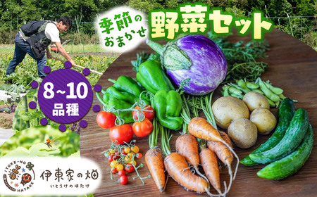 野菜セット(8～10品種) | 栃木県 下野市
