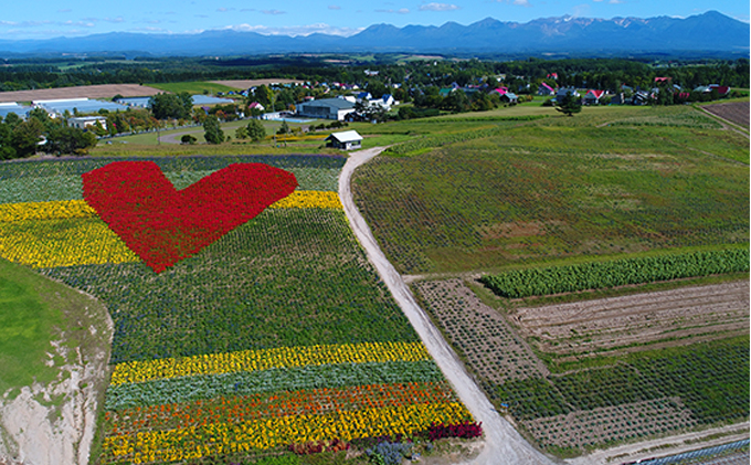【2024年発送】かんのファーム産 とうもろこし 食べ比べ 20本 セット(じゃがいも付) 北海道 上富良野町 とうもろこし トウモロコシ セット じゃがいも ジャガイモ 先行受付