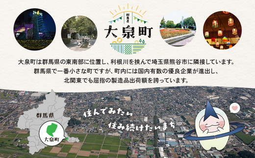 【３ヶ月　定期便】サントリーオールフリー350ml缶24本入り