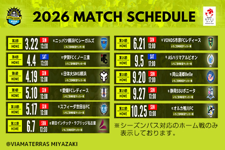 サッカー チケット ヴィアマテラス宮崎 ホーム シーズンパス スポーツ E265