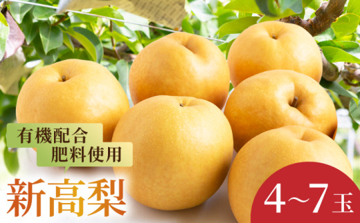 【先行予約】有機配合肥料使用 新高梨 4～7玉 （約3kg） 【2026年9月上旬～9月下旬より順次発送予定】 【春光園】 梨 なし 果物 フルーツ 新高 果実 福岡県 うきは市 常温