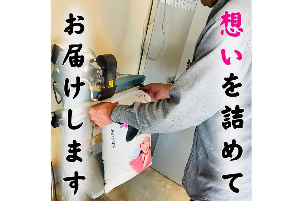 白米 青森県産あきたこまち 精米 5kg 令和7年産