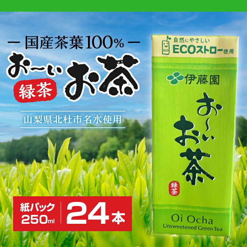 【ふるさと納税】お茶 伊藤園 おーいお茶 緑茶 国産茶葉 紙パック 1ケース24本 250ml ケース ドリンク 配達 紙パック お弁当 仕送りギフト 防災