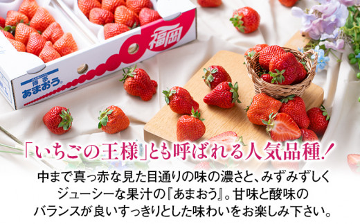 【冬】あまおう 約500g いちご 苺 果物 フルーツ 冷蔵 送料無料 ※北海道・沖縄・離島は配送不可 大木町産 南国フルーツ CO001