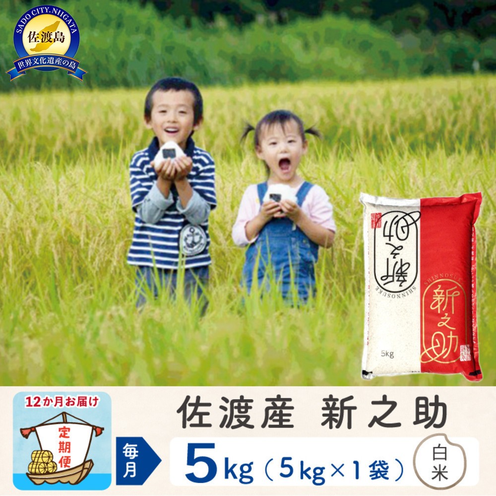 
            【新米予約 12か月定期便】佐渡島産 新之助 白米5Kg 令和7年
          