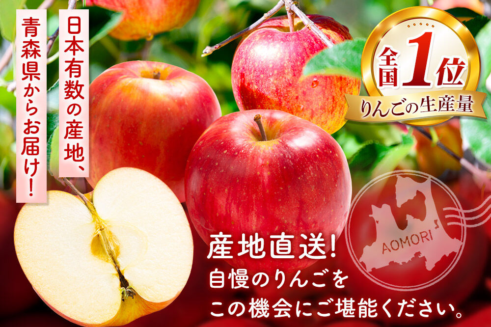 【26年10月発送】りんご 早生ふじ【おもてなし用】約5kg 平均糖度12度以上 青森 果物 フルーツ 林檎 リンゴ くだもの [産地直送 アップル 青森県 弘前市]