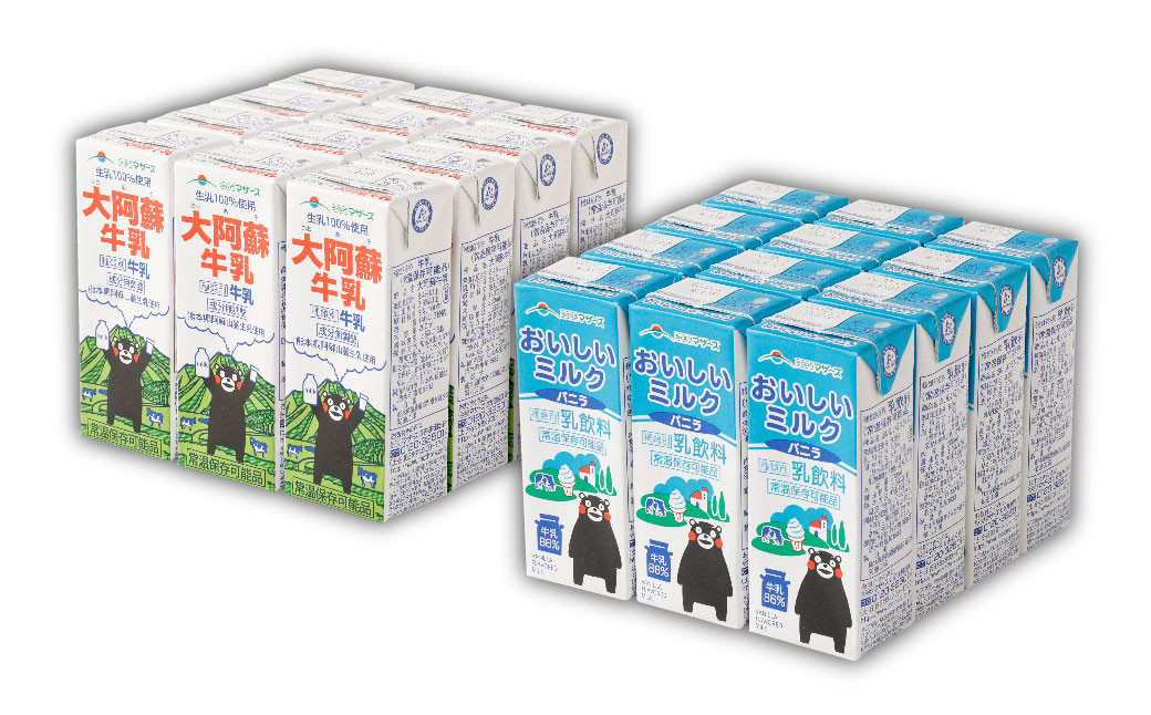 【3か月連続定期便】 大阿蘇牛乳200mlとおいしいミルクバニラ200ml 各12本ずつ（計24本）×3回 計72本