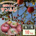 【ふるさと納税】信州りんご 加工用 10kg サンふじ_ りんご ふじ サンふじ リンゴ 林檎 加工用 調理用 ジャム ジュース コンポート アップルパイ 訳あり 信州 長野県 産地直送 不揃い 傷 家庭用 自宅用 10kg 秋 冬 くだもの 果物 果実 フルーツ 送料無料 【1508406】