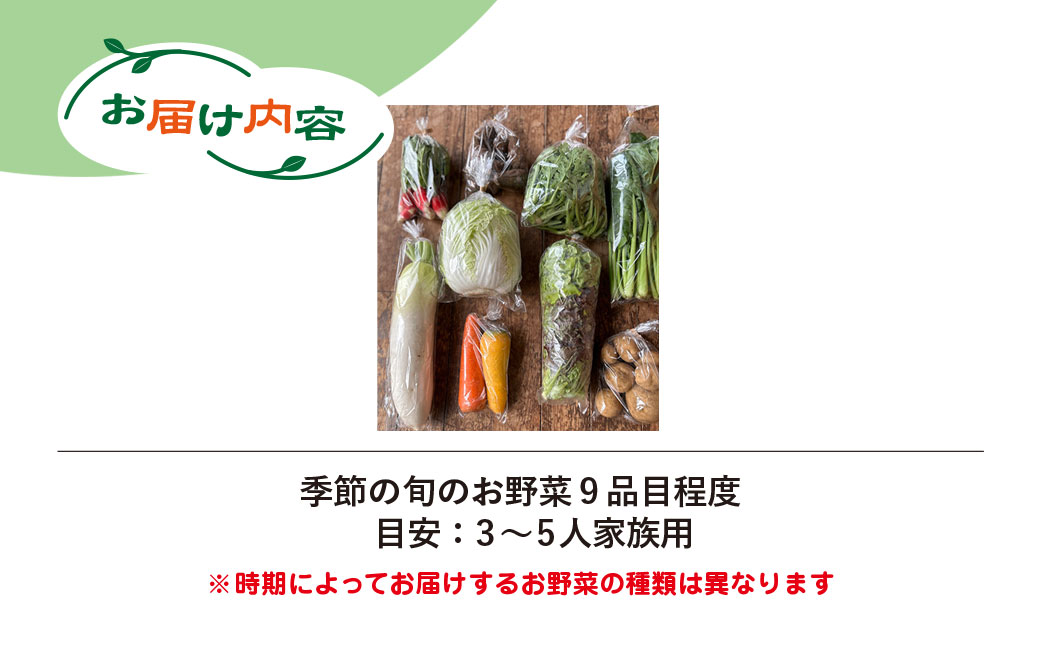 栽培期間中 農薬不使用　季節のお野菜セット KTRCP001 / 野菜 やさい 旬 季節 詰合せ お野菜セット 9品目 3～5人家族用 健康 和楽志 わがくし 千葉県 香取市
