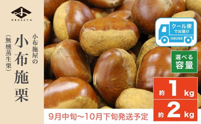 
            小布施栗（無燻蒸生栗） 約1kg 約2kg 選べる内容量 ［小布施屋］  果物 フルーツ 生栗 くり 日本三大栗 令和7年産【2025年9月中旬～10月下旬発送】
          