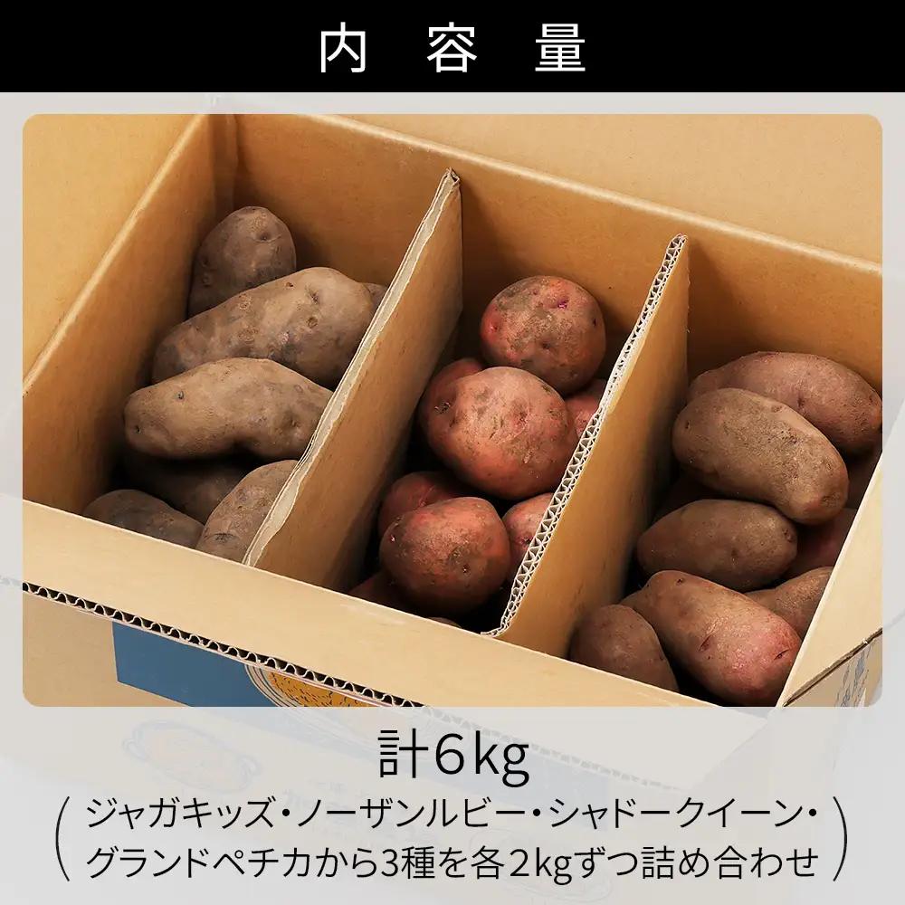 2026年産 先行予約 北海道産 カラフルじゃがいも 3種セット 計6kg 上士幌町加藤農場 馬鈴薯 芋 イモ 野菜 詰め合わせ　◆2026年12月配送予定