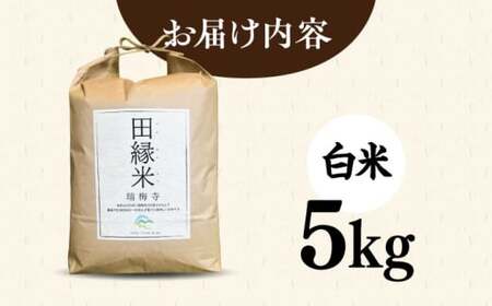 【先行受付中】 田縁米(でんえんまい)・瑞梅寺(ずいばいじ) 白米 5kg 【2026年12月上旬順次発送】糸島市 / NPO法人田縁プロジェクト 米 白米 [ATM004]