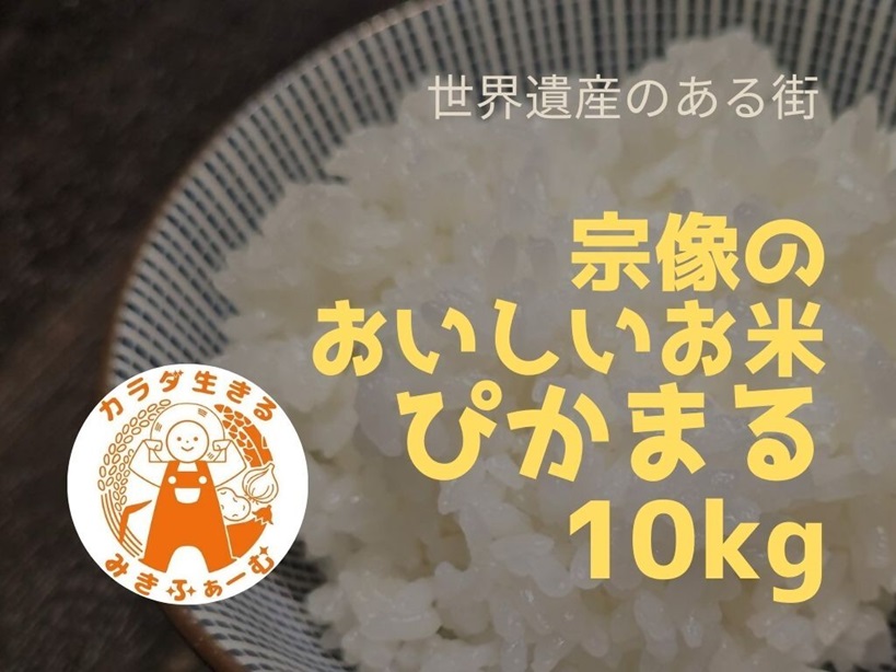 【定期便/毎月お届け/全6回】むなかた産 米 ぴかまる 10kg【みきふぁーむ】_HB0170