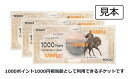 【ふるさと納税】＼旅行や帰省に／ 愛媛県今治市 アイアイ今治 宿泊券 3,000円～30,000相当 (1000ポイント分 ×枚数) 旅行券 旅行チケット 宿泊チケット 温泉 まとめ買い 国内旅行 プチ旅行 観光 四国 愛媛 今治 しまなみ街道 来島海峡 サイクリング 有効期限1年【TB09030】