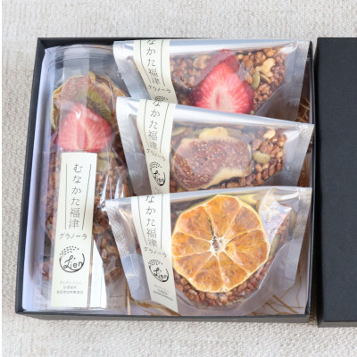 
むなかた福津グラノーラ 50g×1本、25g×3袋【1314924】
