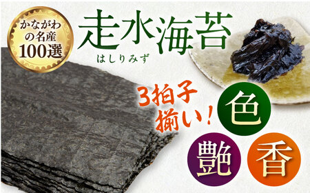 【訳あり】ごま塩味付けのり 八切り80枚×2袋 海苔  [AKAB021] 
