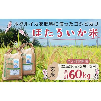 ふるさと納税 滑川市 【毎月定期便】ほたるいか米　玄米　20kg全3回
