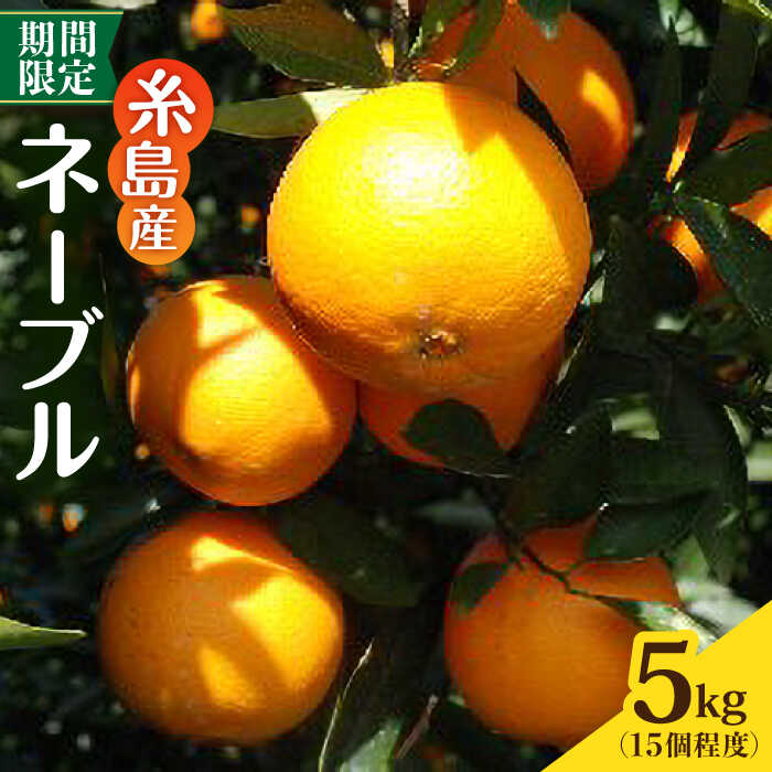 【ふるさと納税】【先行受付】糸島産ネーブル 5kg みかん 柑橘《糸島》【2026年2月下旬以降順次発送】【シーブ】 [AHC029] 常温 23000円 2万3千円