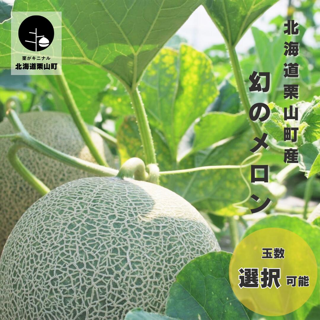 【ふるさと納税】北海道栗山町産 幻のメロン《1玉・2玉・大箱 4〜6玉（計8kg程度）》