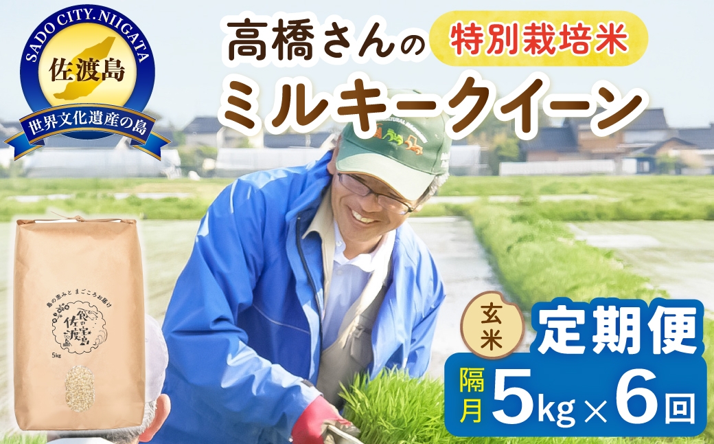 
                  【定期便 令和8年産新米 全6回】 佐渡島産ミルキークイーン 玄米 5kg 令和8年産新米 特別栽培米 高橋農園 | 新潟県産ミルキークイーン 佐渡産ミルキークイーン ミルキークイーン お米 米 玄米 げんまい おこめ コメ 5キロ にいがた さど 新潟県 佐渡市
                
