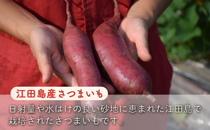 【全3回定期便】ねっとり濃厚！【てくてくの壺焼き芋 2kg 芋 スイーツ お菓子 ギフト 広島 江田島市/峰商事 合同会社[XAD051]