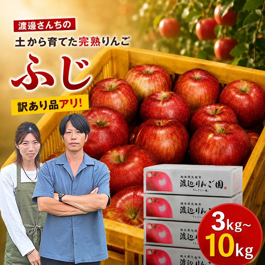 【ふるさと納税】りんご 選べる 訳あり 矢板市産 完熟 ふじ 数量限定 3~10kg 箱｜リンゴ 林檎 果実 果物 栃木県産 国産 先行予約 内容量 栃木県 矢板市
