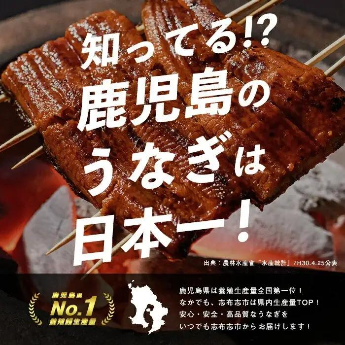 【訳あり・数量限定】復活！不揃いのうなぎ達 計800g以上(鹿児島県産 鰻の蒲焼き)  うなぎ 鰻 ウナギ 不揃い ふぞろい 訳アリ 国産 九州産 蒲焼 蒲焼き かばやき 冷凍 うな重 ひつまぶし 人