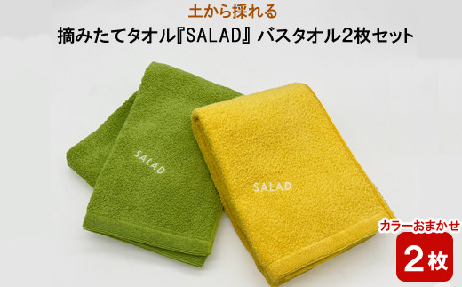 
土から採れる 摘みたてタオル 『SALAD』 バスタオル 2枚セット【2_8-002】
