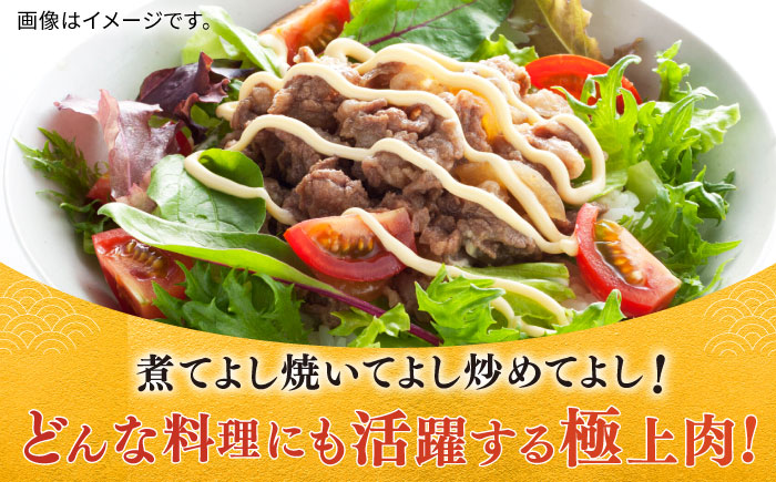 佐賀牛切り落とし 計1kg（500g×2パック） / 肉 牛肉 和牛 国産 しゃぶしゃぶ すき焼き / 佐賀県 / 株式会社中山牧場 [41AOCW014]