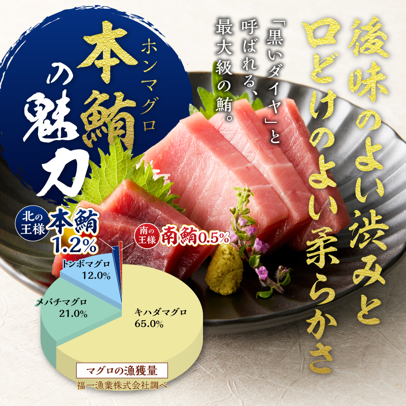 a42-018　訳あり　本マグロ 天然 中トロ 500g【定期便3回】