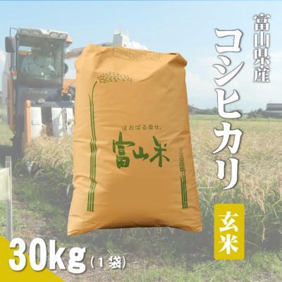 ふるさと納税 小矢部市 令和7年産「コシヒカリ」玄米30kg×1袋