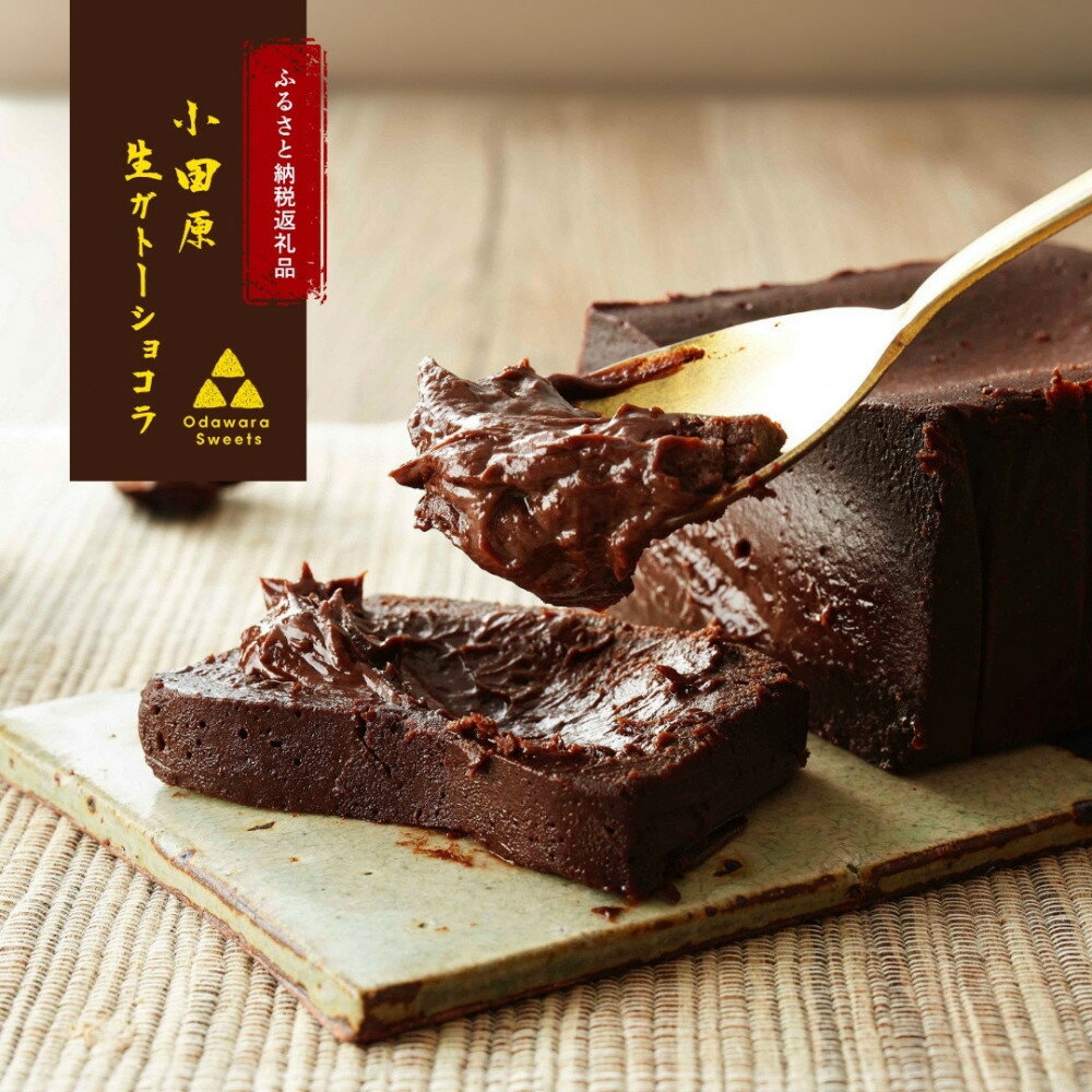 【ふるさと納税】極上の口溶け。幸せの生ガトーショコラ 450g 【 高級 濃厚 極上スイーツ グルテンフリー チョコ ショコラテリーヌ 高品質クーベルチュールチョコレート使用 一流シェフ 神奈川県 小田原市 】