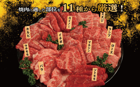 焼肉 セット 牛肉 おまかせ 7種 国産和牛 ロース バラ 外もも 内もも マルシン カイノミ イチボ ランプ カルビ ミスジ トンビ 徳島県 吉野川市