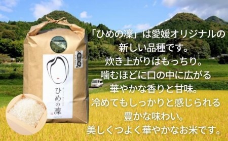〈坂本自然農場 穂田琉〉 特別栽培米:ひめの凜　精米5kg ご飯 お弁当 おにぎり 冷めても美味しい 愛媛県産 県知事賞 受賞米 お米