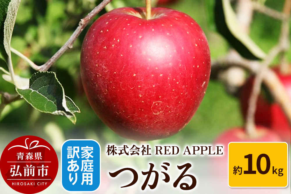 
            りんご【訳あり】家庭用 つがる 約10kg【レビューキャンペーン】
          