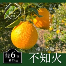 先行受付　不知火　希少な樹上完熟!　秀品大玉　6個入